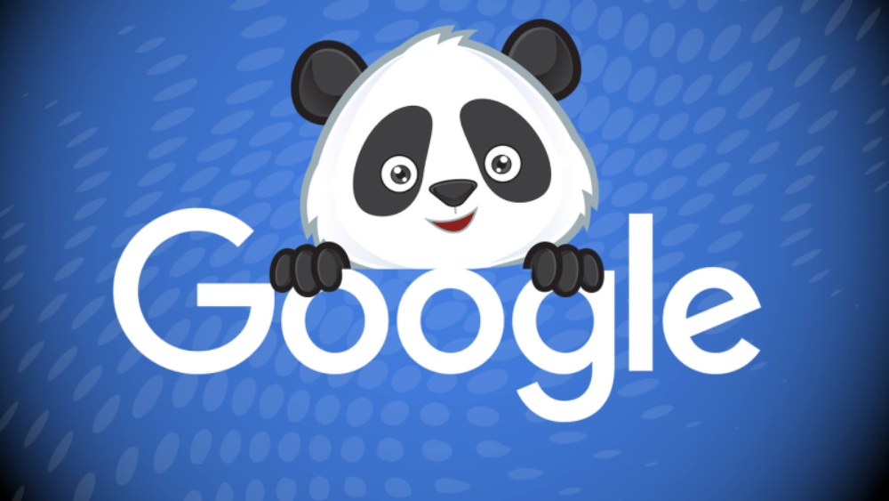 google panda update